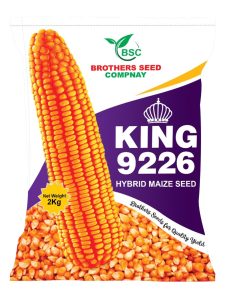 Brother Seeds Chuadanga King 9226