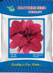 Brother Seeds Chuadanga red spinach