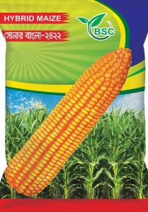 Brother Seeds Chuadanga sonar Bangla