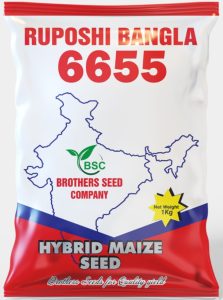 Brother Seeds Chuadanga9